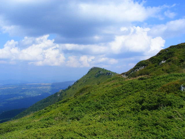 DSCF4420 - 2 august 2009 Traseu Suior Secatura Creasta Cocosului Gutaiul Doamnei  Vf Gutai