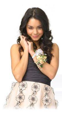 N241526-67fa3 - high school musical 3