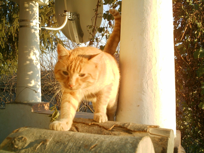 IMAG0029