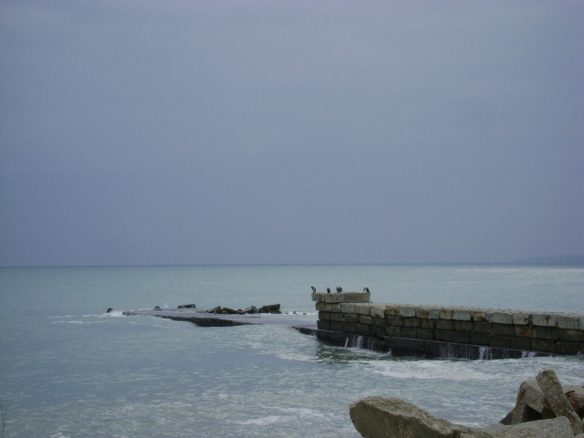 DSC07249; ...MAI PRIVIM O DATA MAREA...
