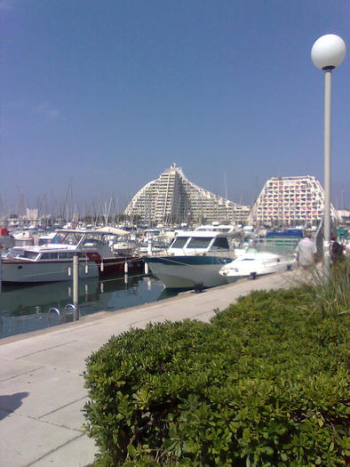 Imagine1246 - ApiMondia