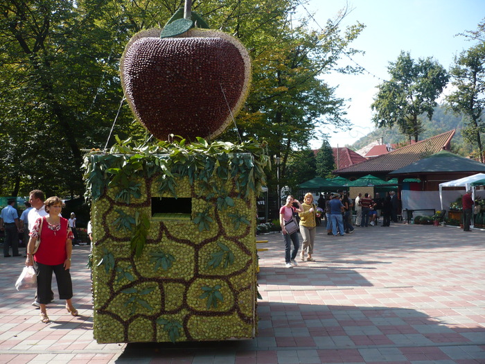 29-09-2009 071 - Expo-Flora 2009 Baia Mare