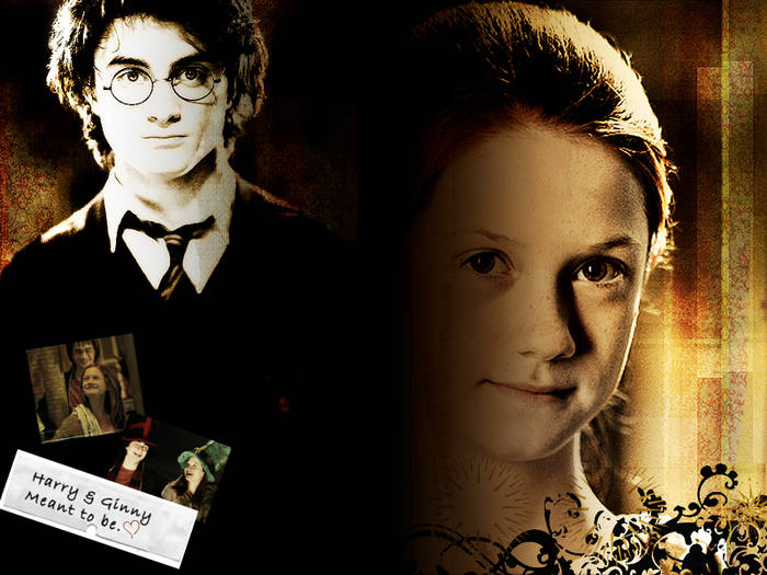 harry-and-ginny-harry-and-ginny-2961739-800-600 - harrry potter and his friends