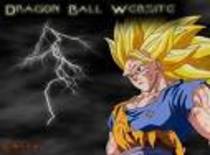 dragonball (24)