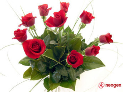 d26dc1a3_0050000989664_00_600