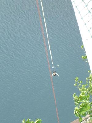 bungee small 3