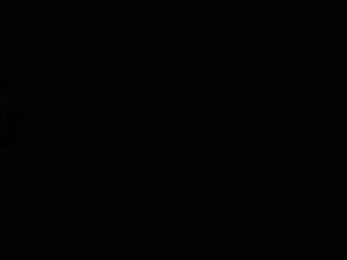 AAAA0555