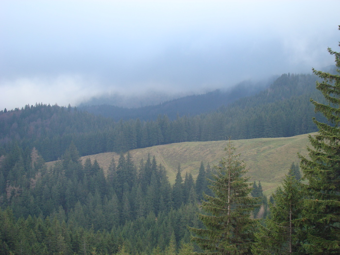 DSC04602