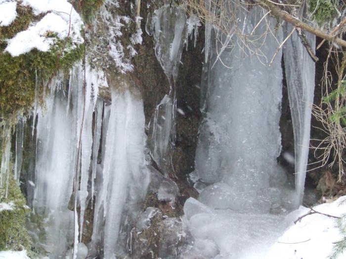 DSCF4615 - poiana zinelor