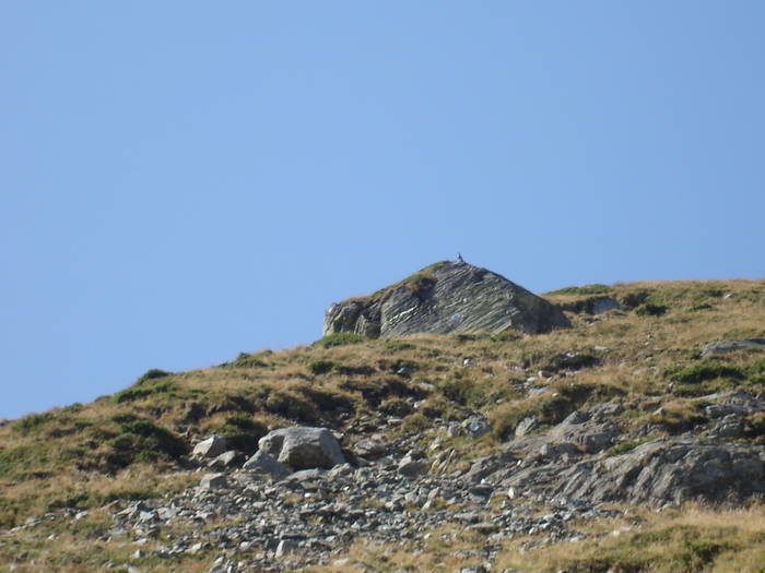 muntii fagarasi - cavalerii aerului