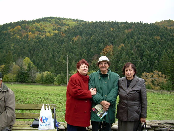 B 11 - Excursie Baltatesti 2008