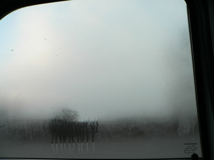 P1040106 - 2008 mos craciun adica eu