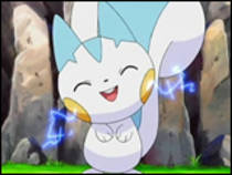 pachirisu5