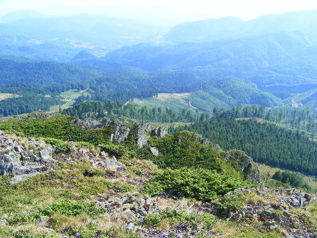 DSCF4473