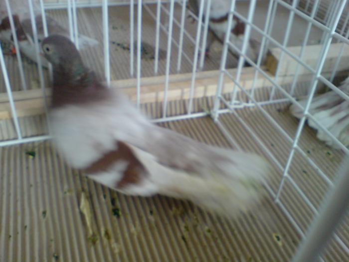 DSC00937