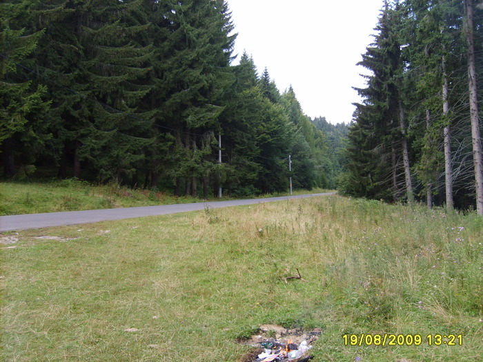 S5002605 - Sinaia 23 08 2009