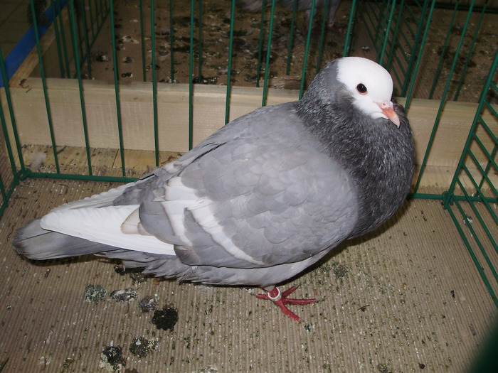 8936 0 - 1507 partea 3b