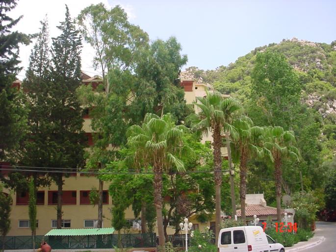 DSC03487
