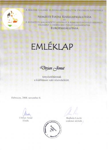 diploma Debrecen 2008 - Palmares