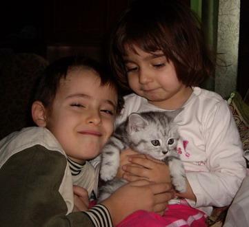 British; Ophra acasa la noi
