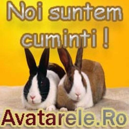 HDUMXAXFOWUSJJDHCIY[2] - poze avatare animalae