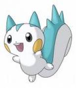 pachirisu - Pachirisu