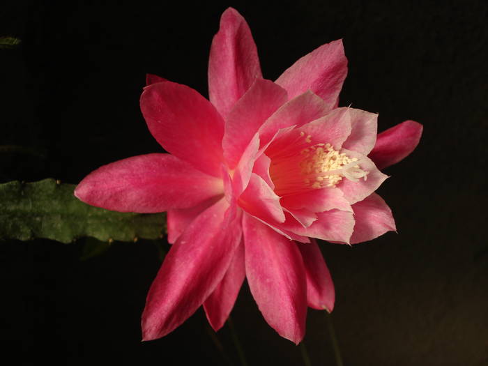 DSC06003