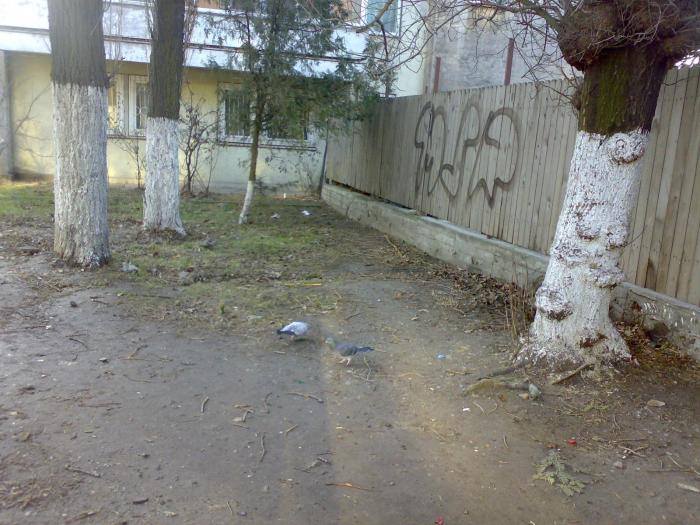 210120091719 - 18a Constanta 1