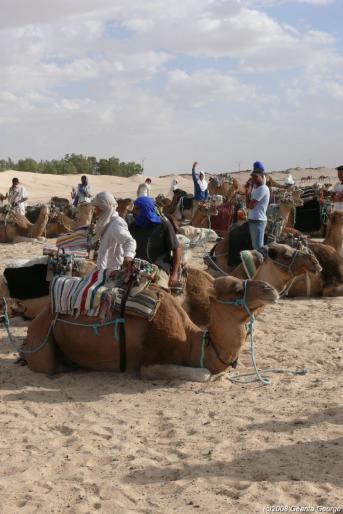 Tunisia_358 - Tunisia
