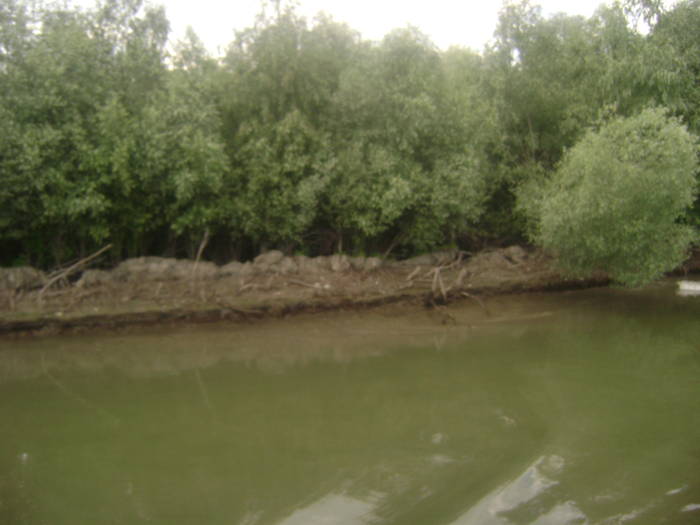 excursie delta dunarii 5062009 132 - EXCURSIE  in DELTA