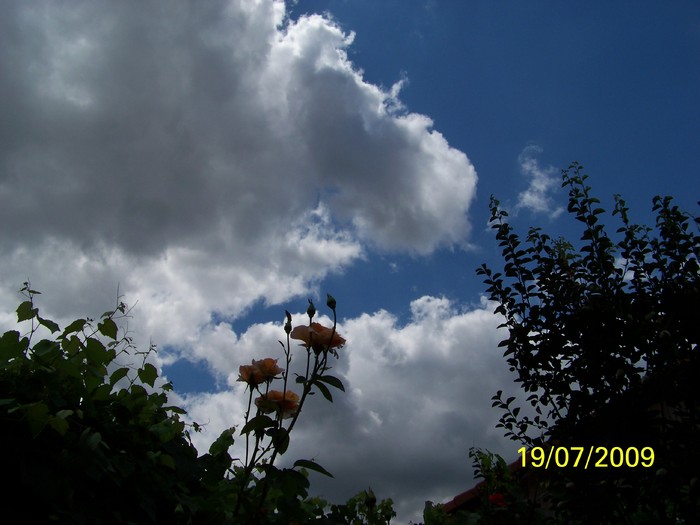 100_8210 - Iulie 2