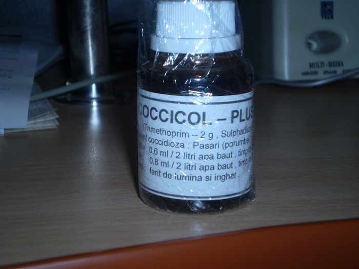PB040005; CocicolPLUS
