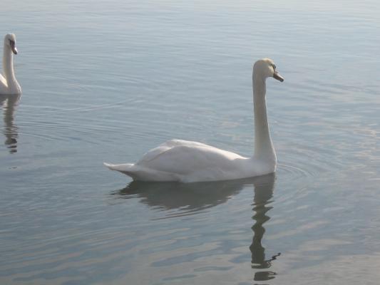 IMG_0059 - 08-01-2007