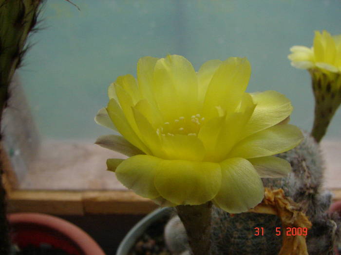 DSC05897