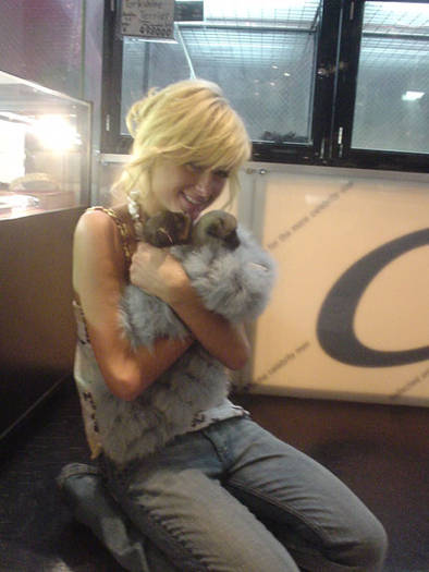 parishilton_aboutimage_5 - paris hilton