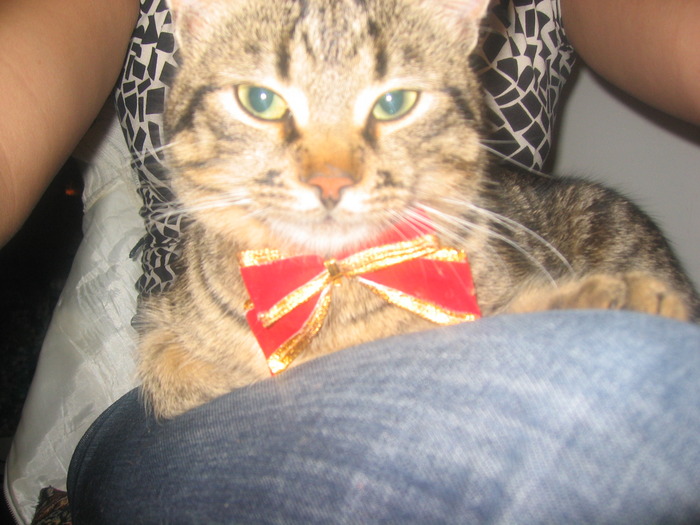 23 dec 2007 053