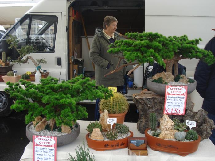 Picture 465; Targ in Orklini
