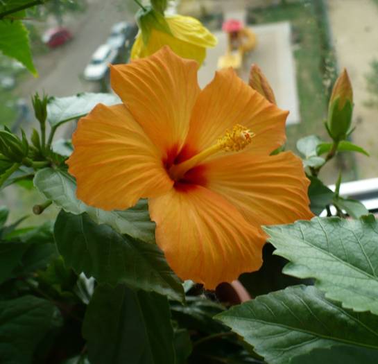P1110653