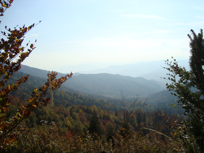 colorile toamnei - excursie la munte