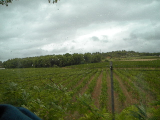 DSCN1600