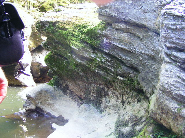 DSCF5192