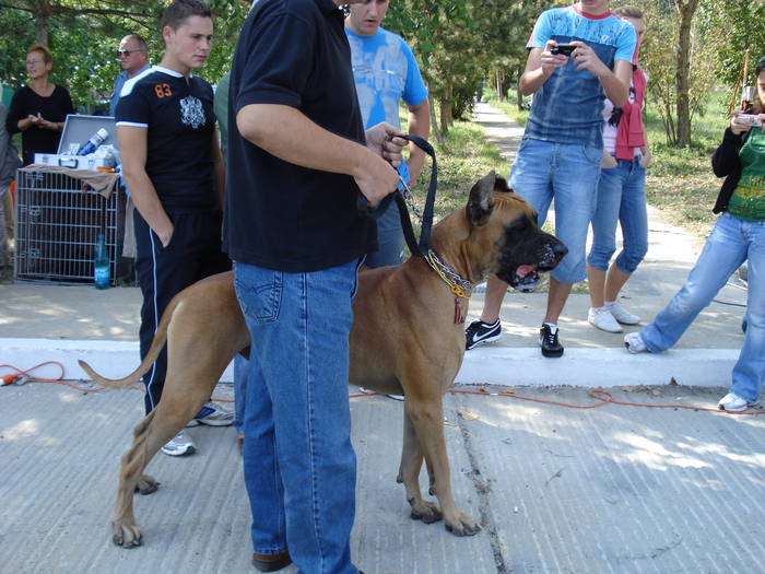 DSC07108 - 2007 EXPOZITIE CANINA