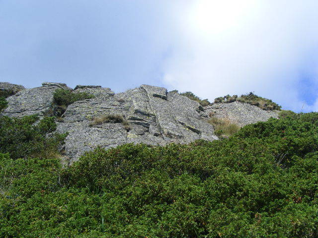 DSCF4256 - 2 august 2009 Traseu Suior Secatura Creasta Cocosului Gutaiul Doamnei  Vf Gutai