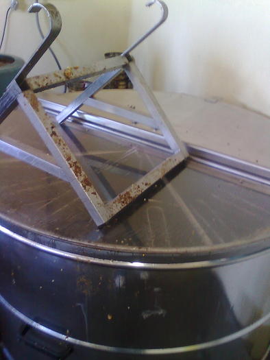 Imagine1431 - ApiMondia