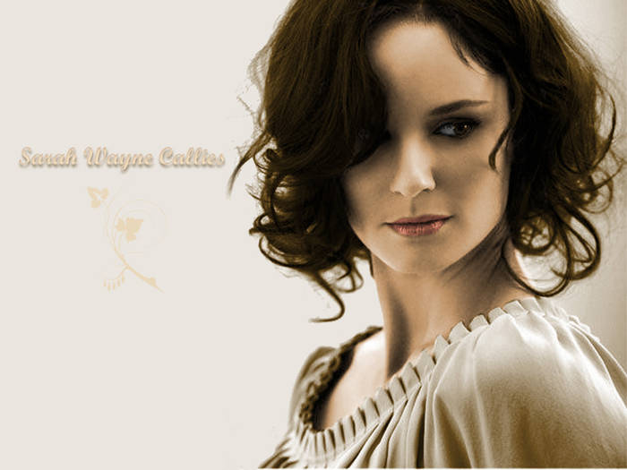 wallswcgn5 - Sarah-WAYNE-Callies