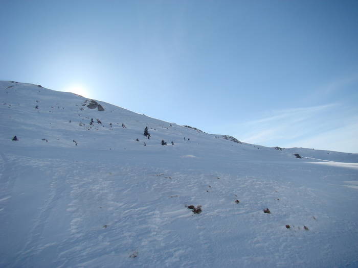DSC01149 - Bucegi - Valea Izvorul Dorului-Padina