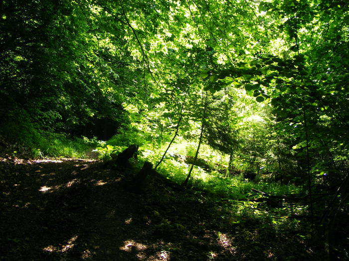 DSCF1042