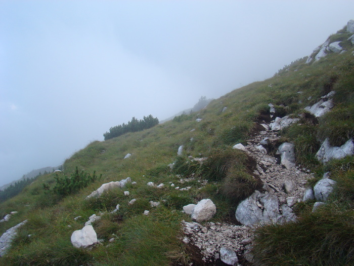 DSC04085 - Piatra Craiului August 2009 Valea Crapaturii