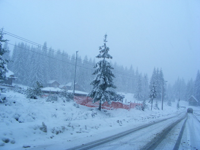 DSCF7352 - ninge in Maramu