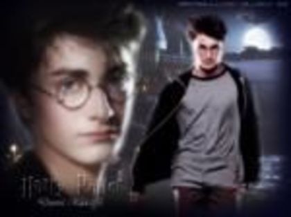 daniel-radcliffe_5